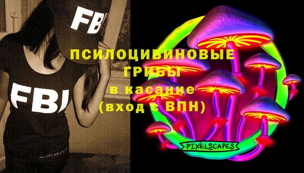 прущие грибы Нефтекумск