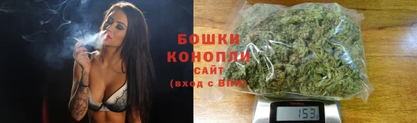 спайс Новодвинск