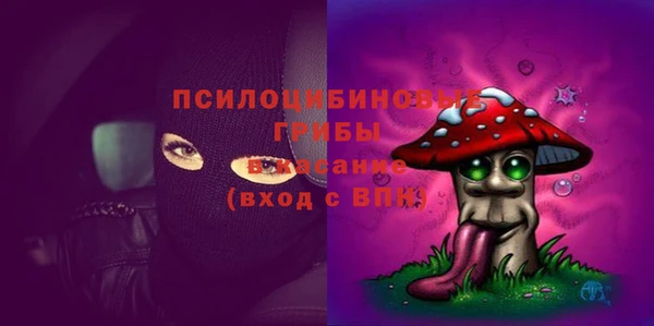крисы Бикин