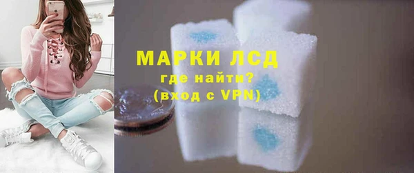сатива Новокубанск