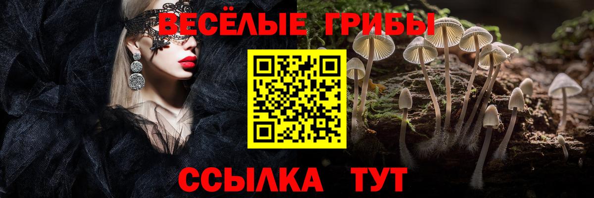 Псилоцибиновые грибы MAGIC MUSHROOMS  Вход с VPN  Лиски  Псилоцибиновые грибы Cubensis 